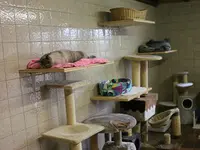 V.I.Pets Gossau
