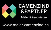 Camenzind & Partner AG-Logo