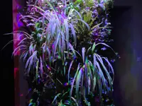 Aquarium-Bassin SARL