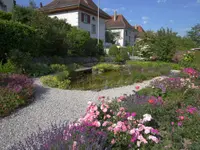 R. Nyffenegger Gartenbau AG - Klicken Sie, um das Bild 12 in einer Lightbox vergrössert darzustellen