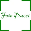 Foto Pucci Sagl