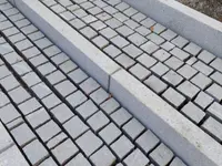 Project Green GmbH, Ruggell (LI), Zweigniederlassung Sevelen