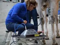 Equine Sports Medicine Services GmbH