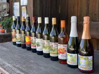 Weinbau Leuengrund - Schneider Weine