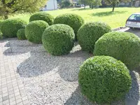 Garten Ideal GmbH