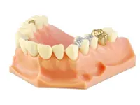 Linder Pro-Dental GmbH