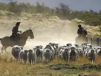 Trans-Continental SA - Klicken Sie, um das Bild 5 in einer Lightbox vergrössert darzustellen