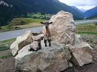 Ustaria la stalla - Klicken Sie, um das Bild 3 in einer Lightbox vergrössert darzustellen