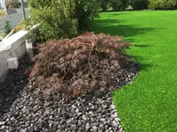 VERTUOSE Parcs et Jardins Sàrl