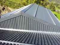 Feuz Holzbau + Bedachungen GmbH