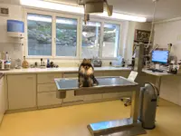 Marigin Tierarztpraxis Farnenbüel