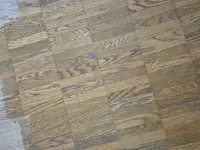 Reinigung und Renovation Antohi