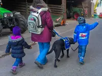 Stiftung Schweizerische Schule für Blindenführhunde - Klicken Sie, um das Bild 3 in einer Lightbox vergrössert darzustellen