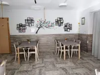 Fondation Mimosas