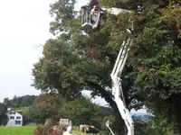 Farner Gartenbau AG