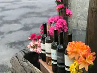 CANTINA IL CAVALIERE SA