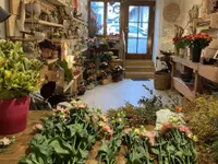 Fleurs d'Elfes