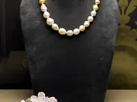 Bijoux Concept