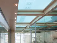 IBSA Institut Biochimique SA