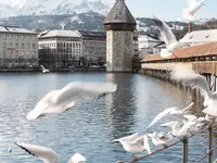 Swiss Fibre Net AG