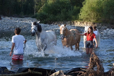 Reitlager Baden im Fluss