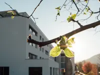 Casa s. Martin - Klicken Sie, um das Bild 12 in einer Lightbox vergrössert darzustellen