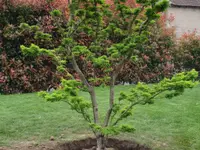 ELLEMME Giardini di Luca Maruca