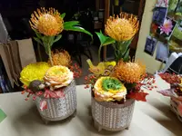 Fleurs Elémen'Terre Sàrl