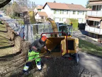 Buff Hauswartungen GmbH