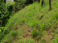 ELLEMME Giardini di Luca Maruca