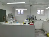 Dental Labor
