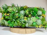 Vegetal Trend Sàrl