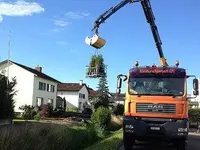 Aeberli Andy