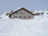 Cambrena