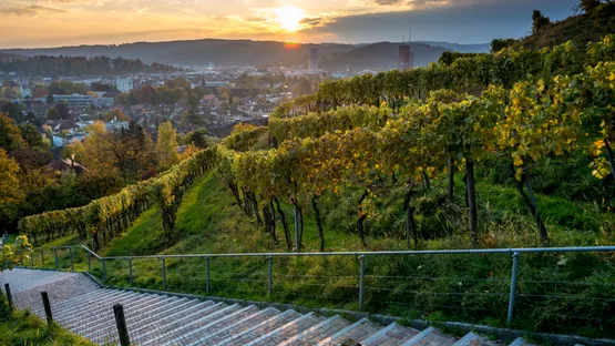 Bouldern in Winterthur
