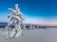 Photopunkt - Klicken Sie, um das Bild 4 in einer Lightbox vergrössert darzustellen