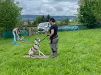 4happypets.ch, Inhaberin Schön