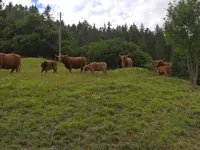 Ferme des Trontières Randogne