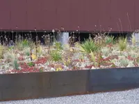 Ammann Gartenbau AG