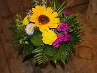 Bärtschi Blumen Pflanzen Floristik