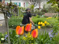 Grünecke Gartenunterhalt und Reinigungsservice GmbH