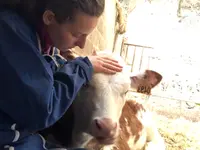 Luana EMINIC HUGO - L'ostéo animaux