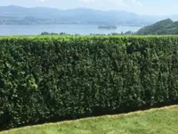 Wildi Garten
