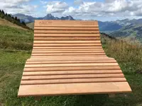 von Allmen Chaletbau AG
