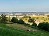 Schäfer Areal - Klicken Sie, um das Bild 4 in einer Lightbox vergrössert darzustellen