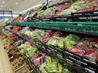 Optimal food
