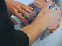 Tre Valli Barber Shop