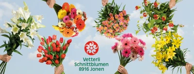 Vetterli Schnittblumen AG