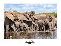 L'Œil Sauvage - Wildlife Experience - Klicken Sie, um das Bild 4 in einer Lightbox vergrössert darzustellen