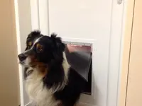 Böll Fenster Service AG